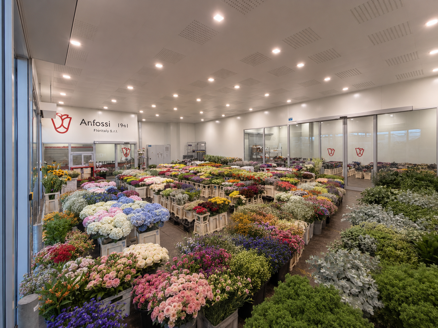 Arrivo al Cash & Carry Anfossi 1941