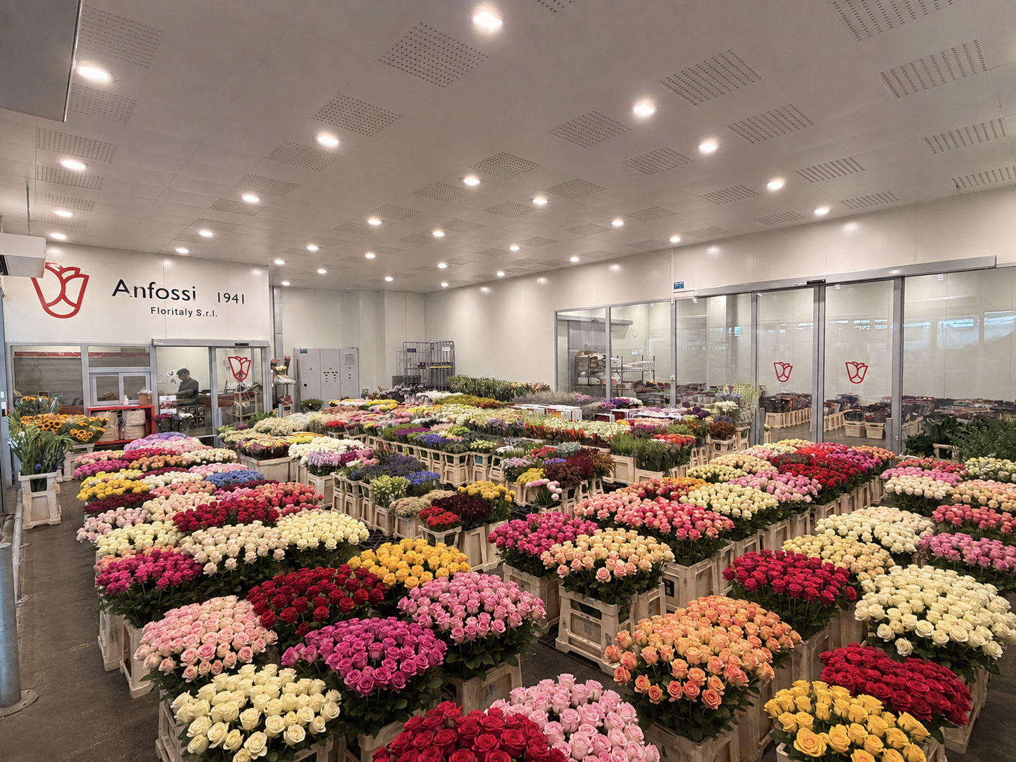 Cash & Carry Anfossi 1941 pieno di fiori freschi