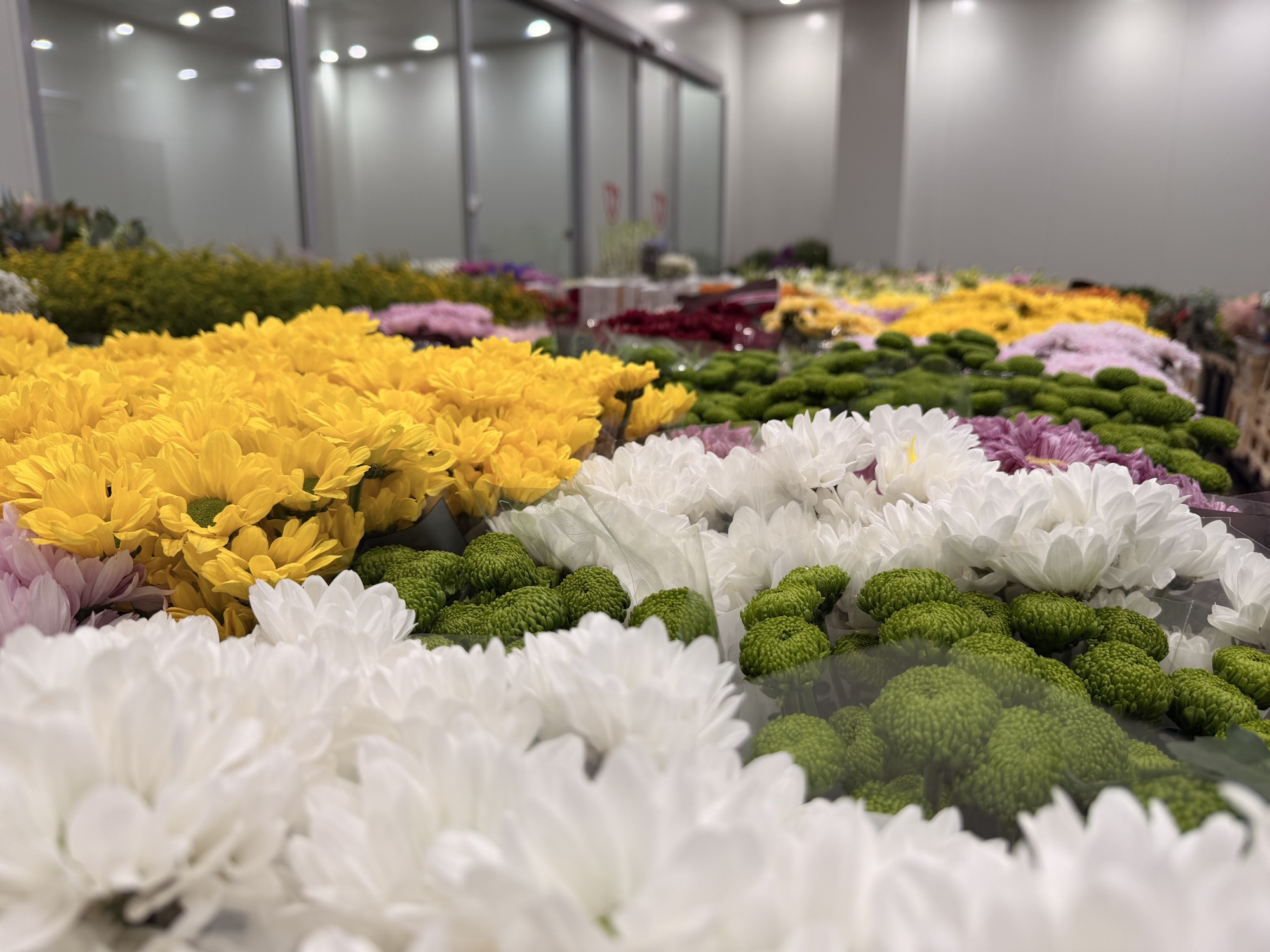 Fiori stagionali al Cash & Carry Anfossi 1941