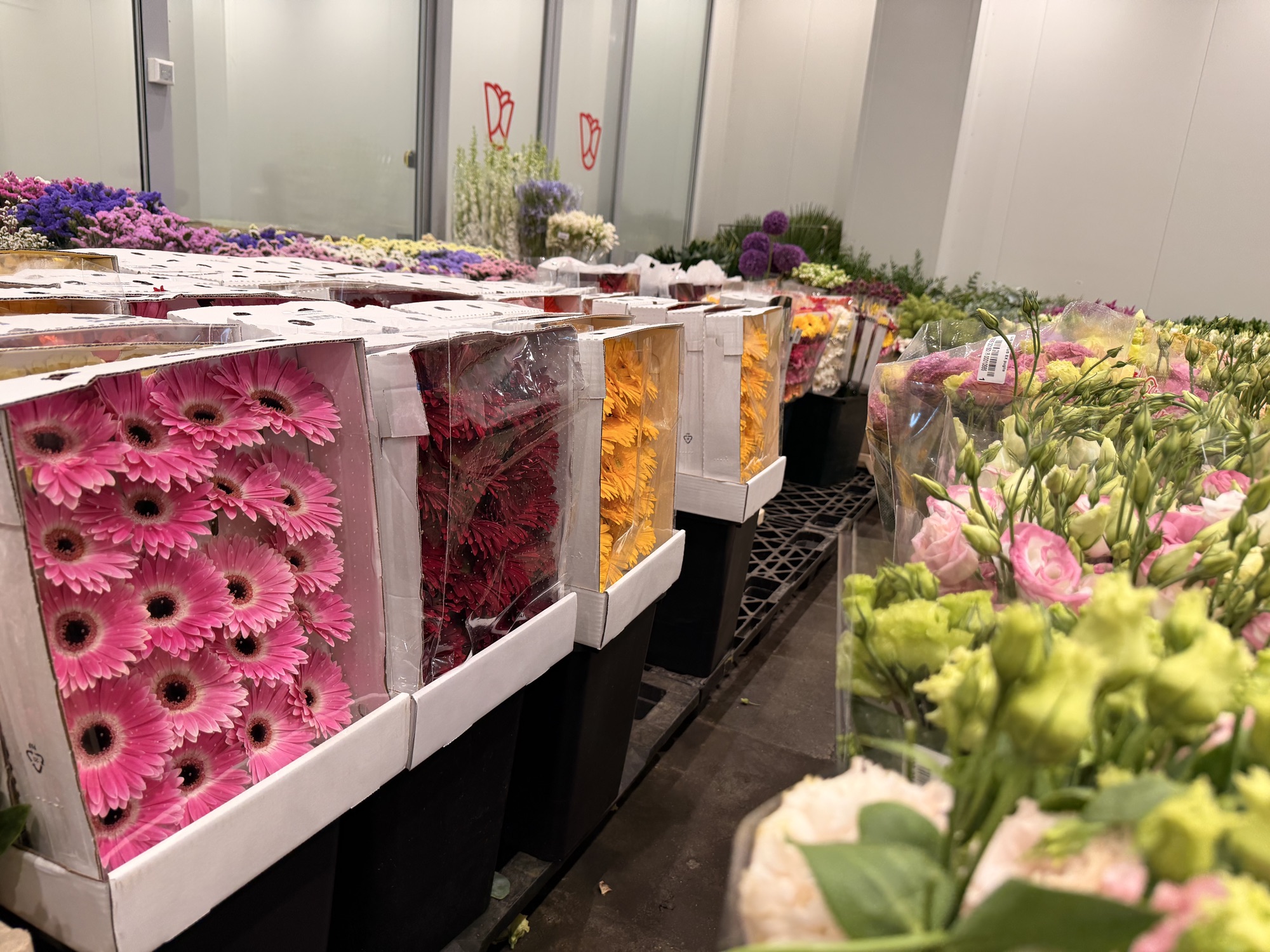 Fiori freschi confezionati in cella