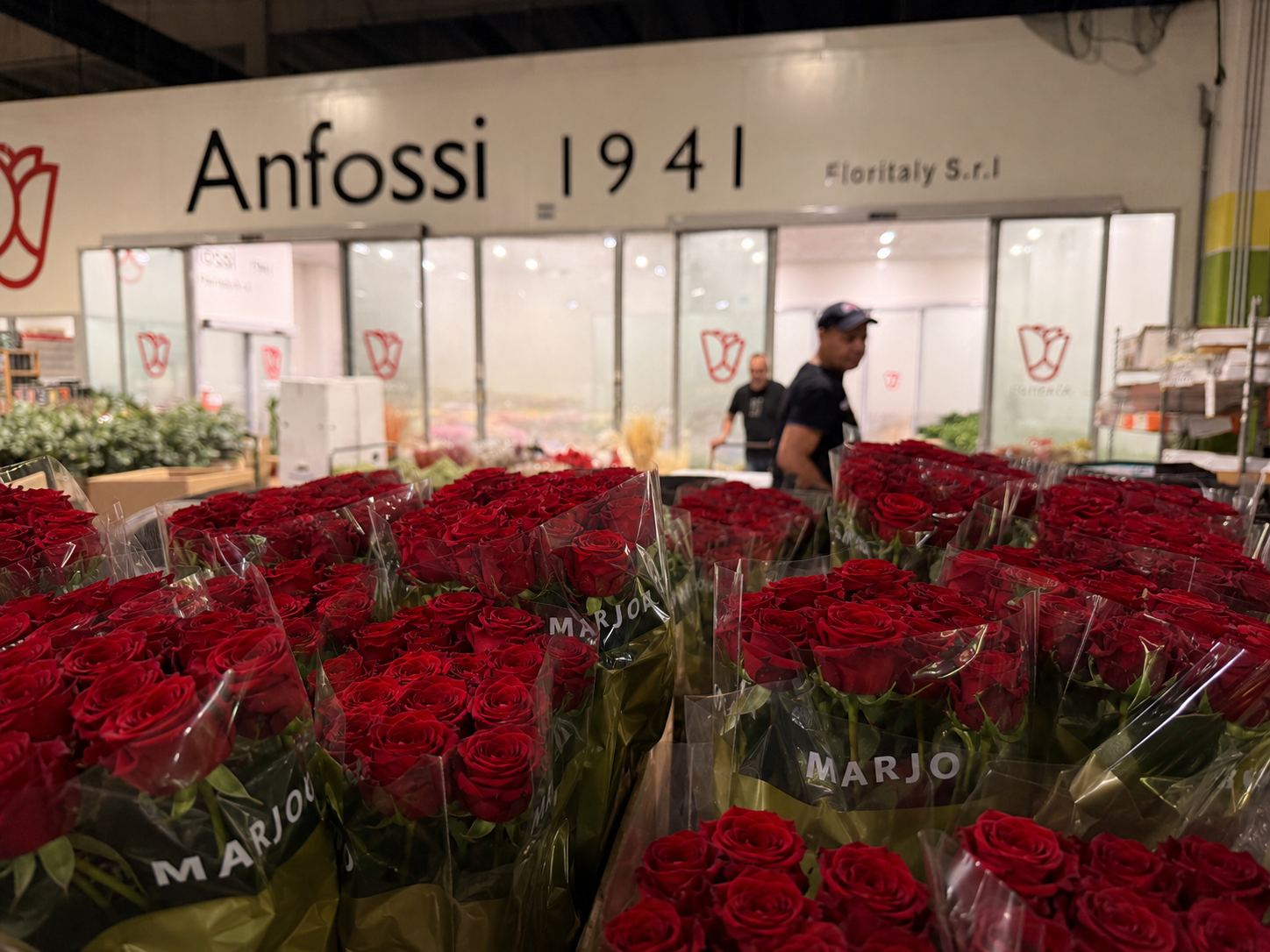 Rose rosse olandesi Marjo in confezione al Cash & Carry Anfossi 1941