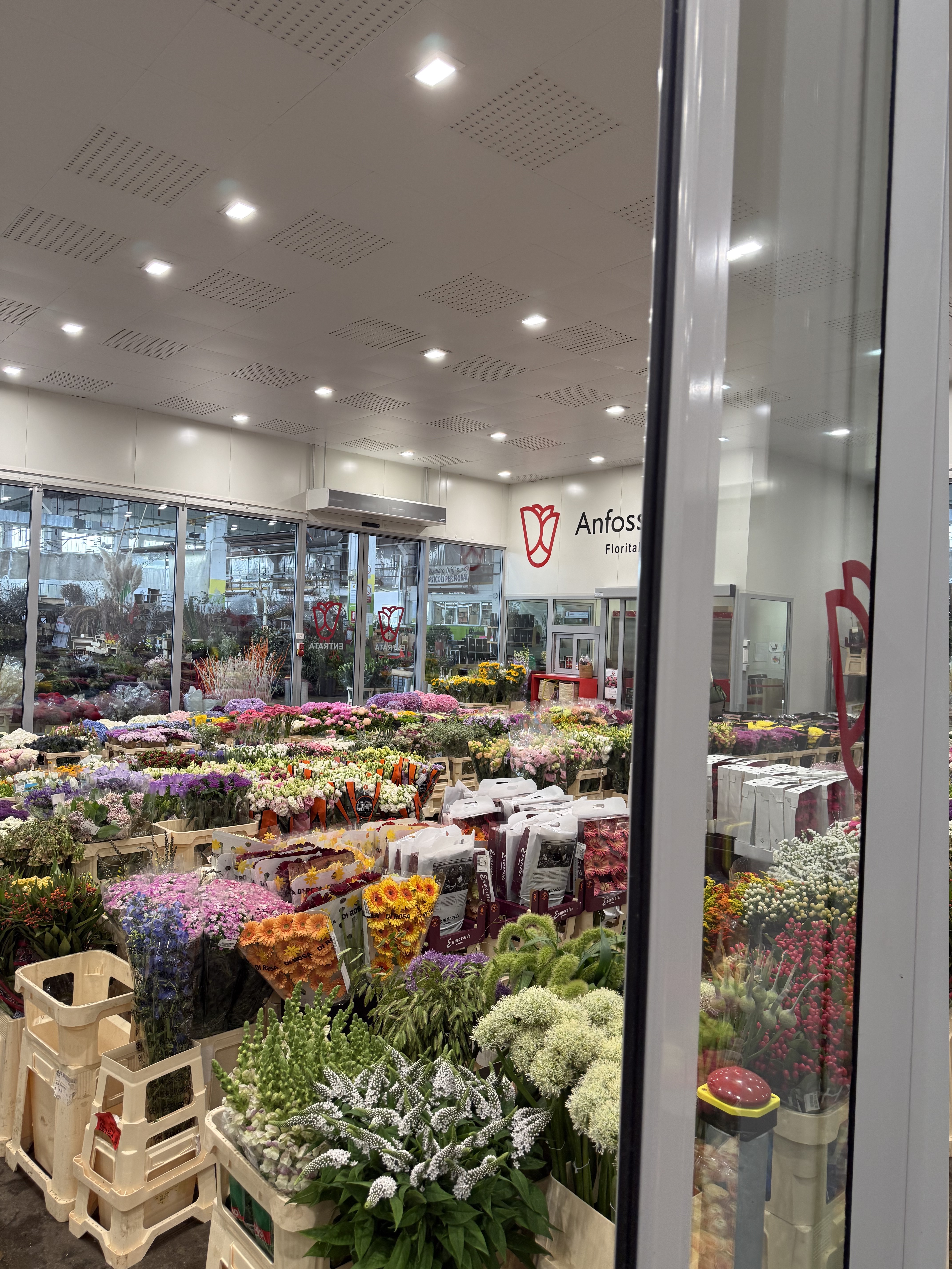 Fiori freschi conservati nel Cash & Carry Anfossi 1941
