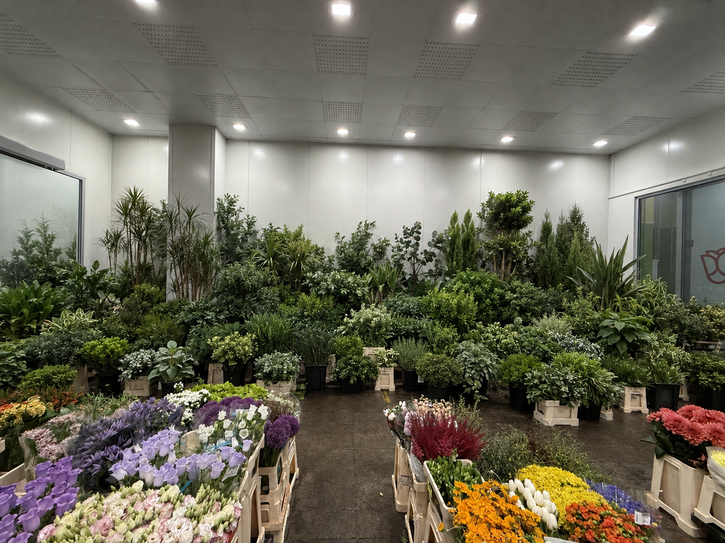Cash & Carry Anfossi 1941 al Mercato Ingrosso Fiori di Torino
